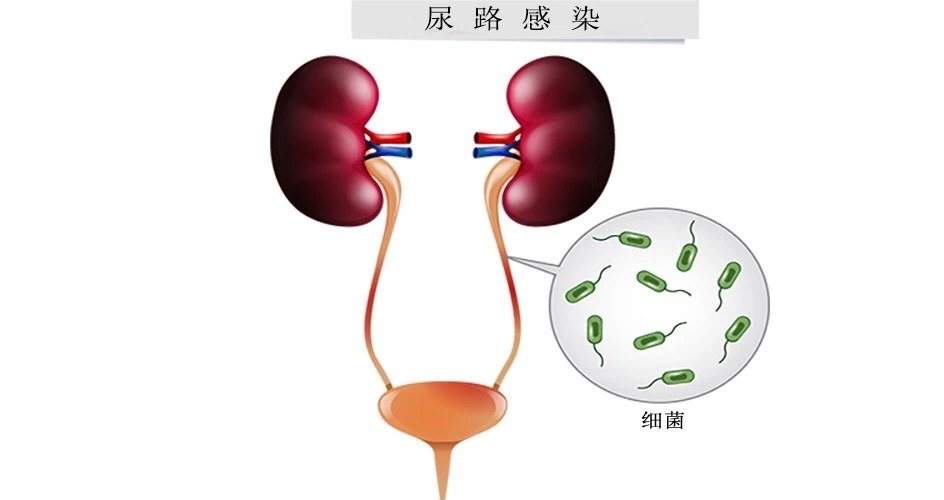 暂无