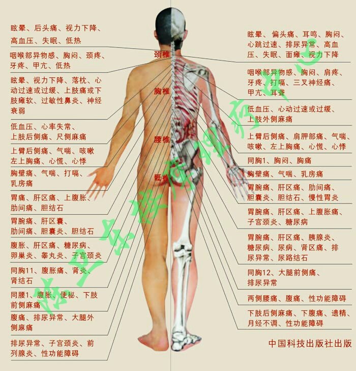 暂无