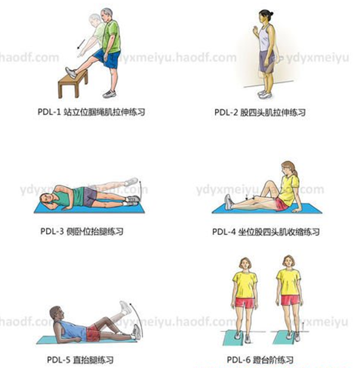 髌骨脱位 髌骨半脱位康复练习法