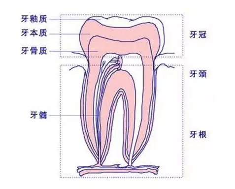 暂无
