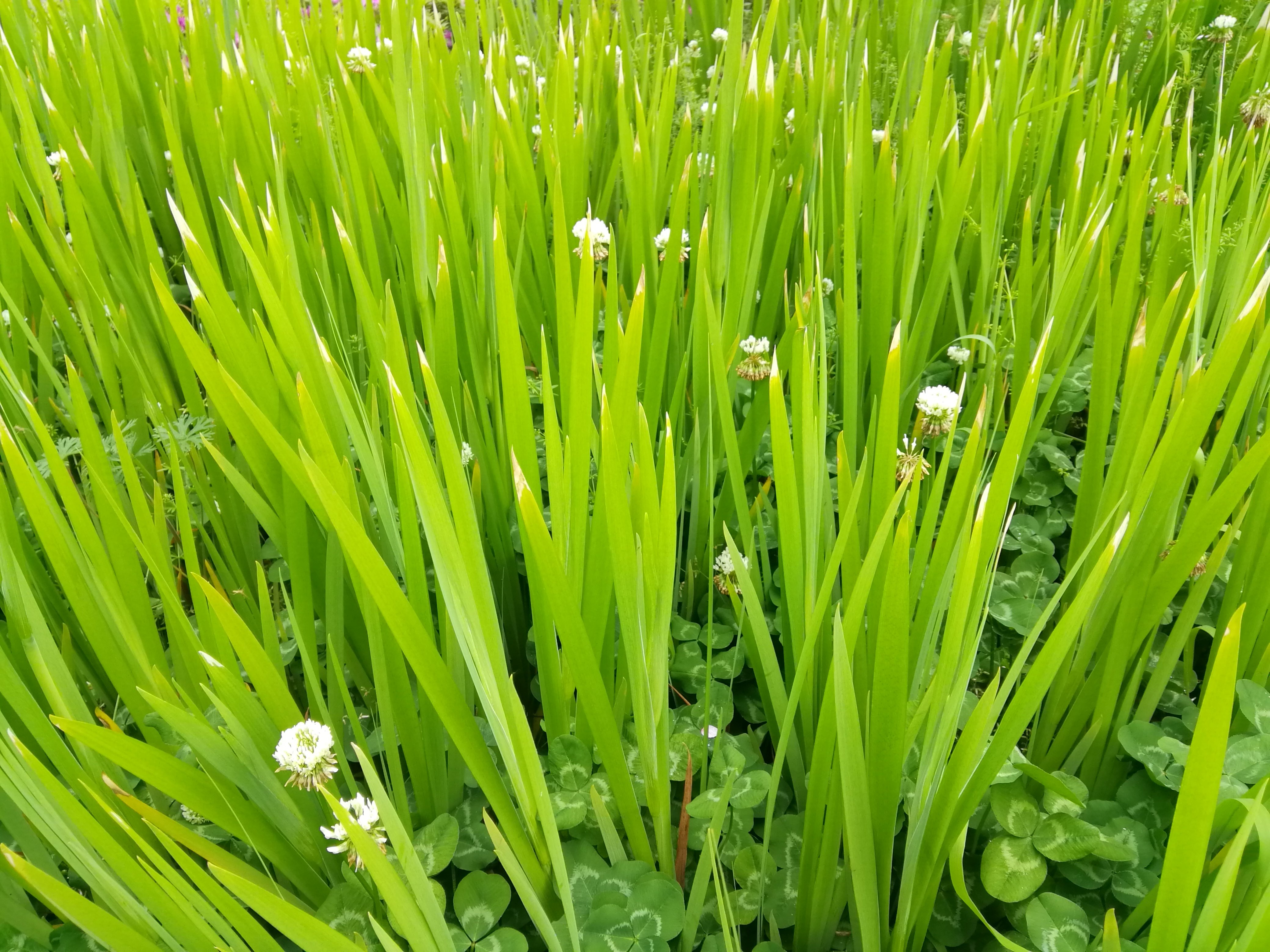 暂无