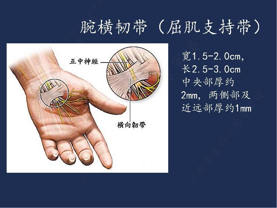 針刀治療腕管綜合徵王明傑廣西中醫藥大學專家樓