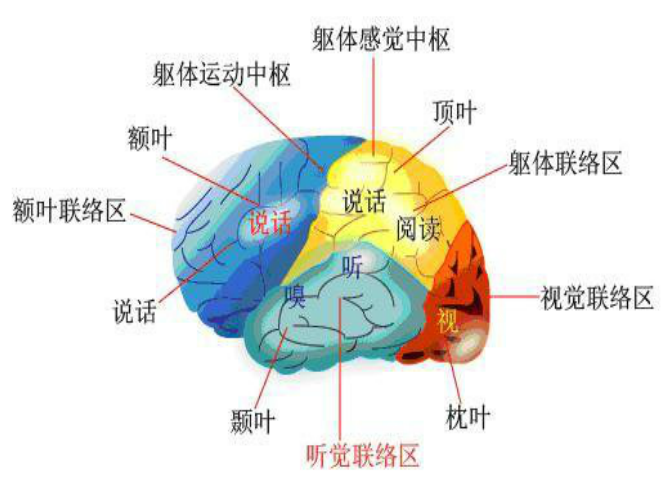 神经内科是看什么病的?