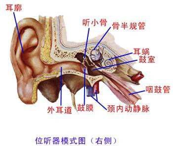 暂无