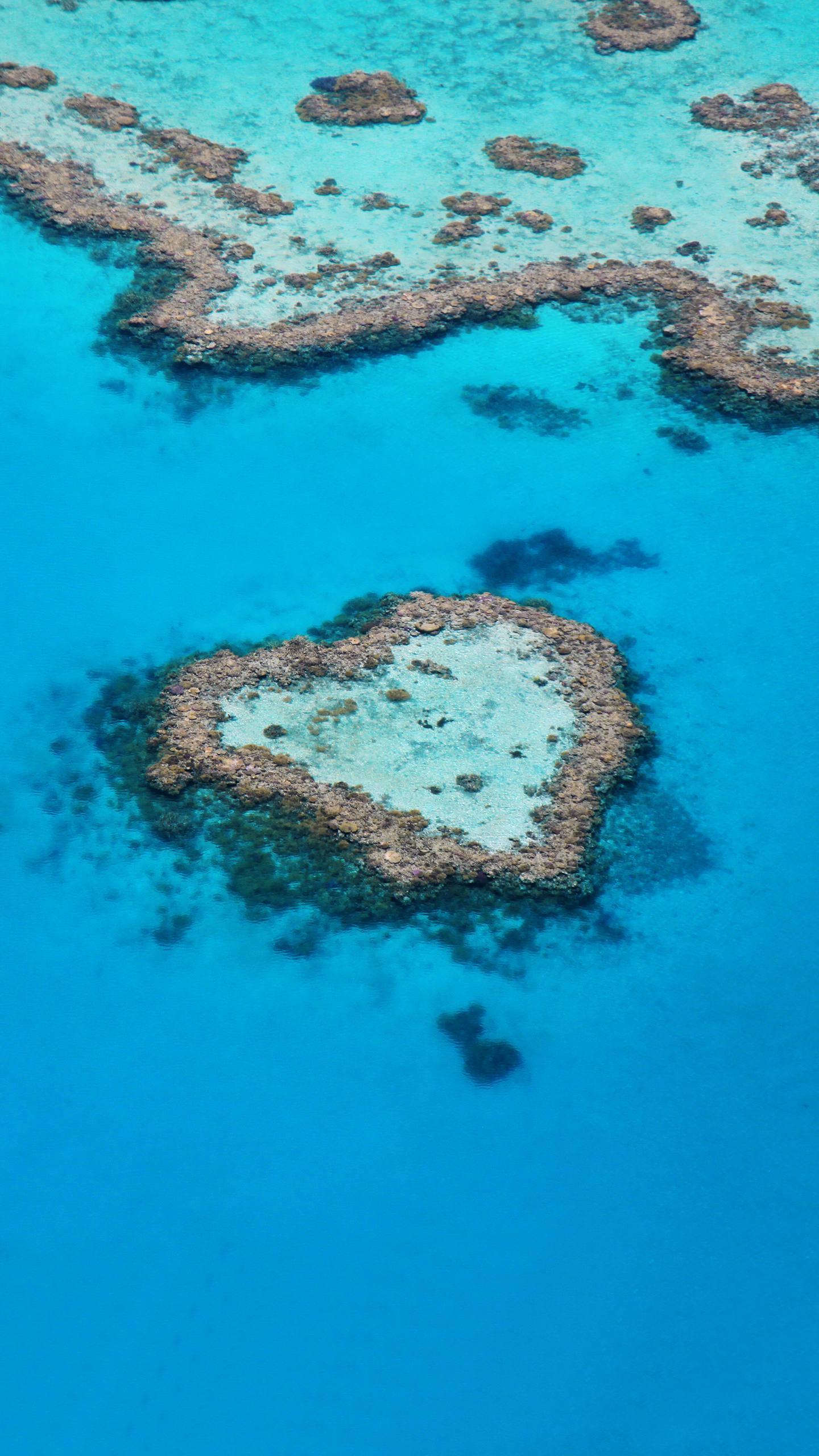 本文摘自《临证心得选》,河南科学技术出版社出版,赵清理,赵安业编著.