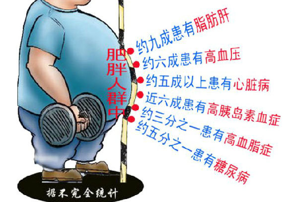 肥胖的危害不容小视