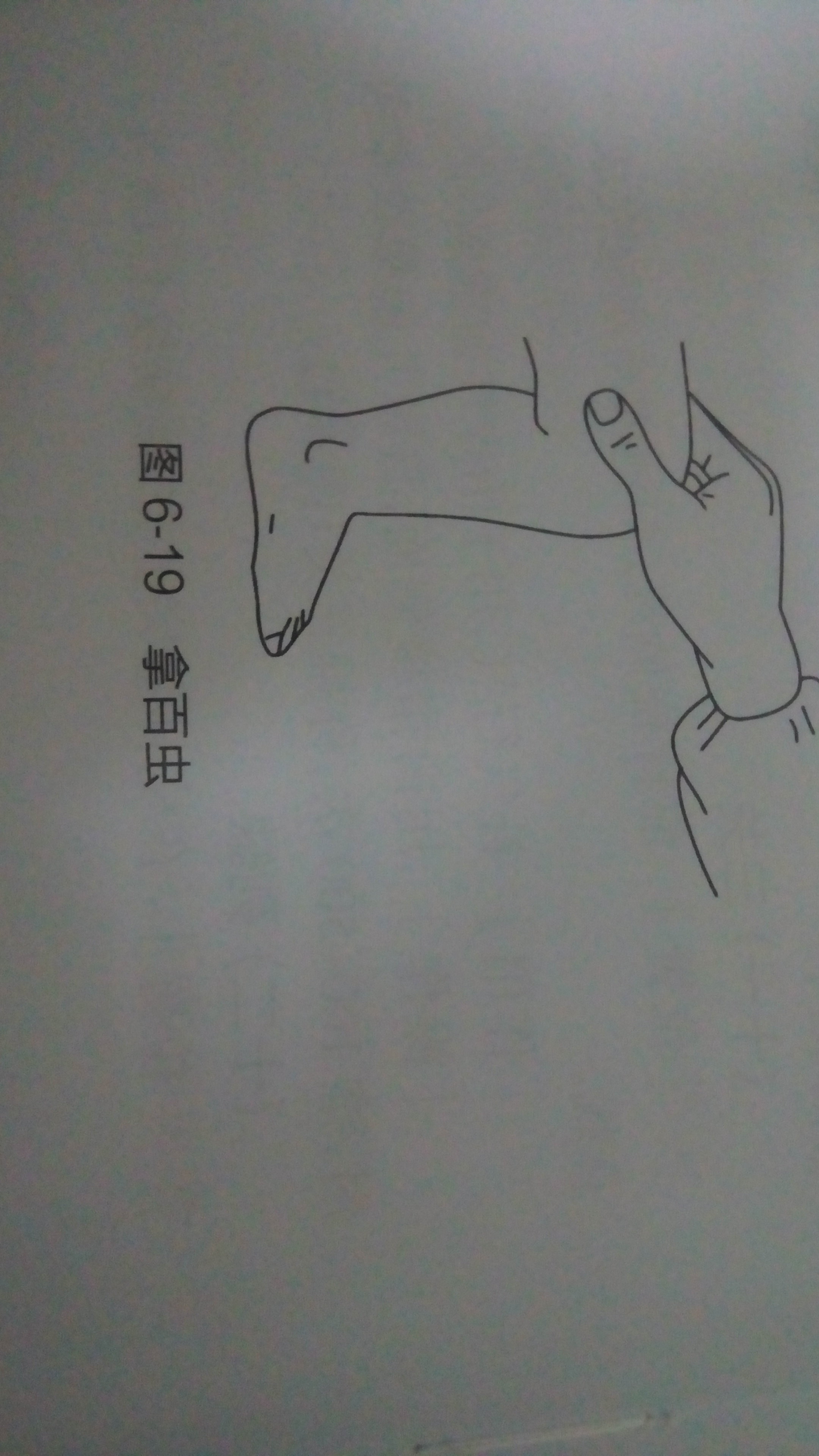 暂无