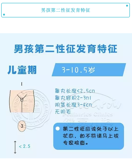 男孩乳腺发育对照表图片