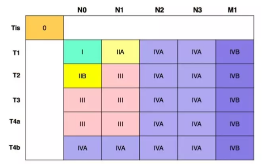 Uicc Ajcc 2017年第八版食管癌tnm 分期