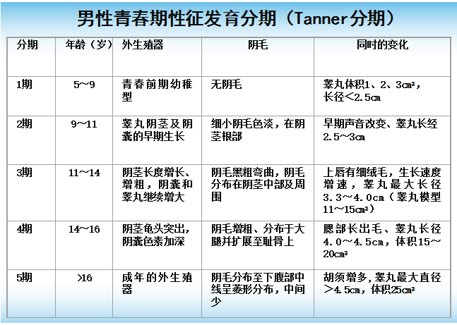 tanner分期表图片