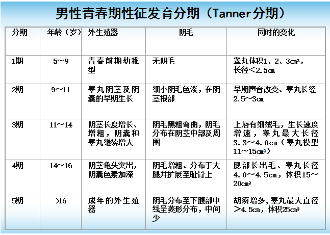 tanner分期标准图-千图网