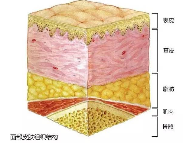 陳立彬疤痕講堂四面部淺表性疤痕