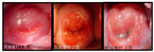 暂无