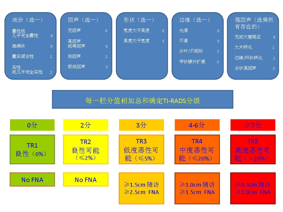 美国放射学会(acr)甲状腺结节超声分级(ti-rads - 好大夫在线