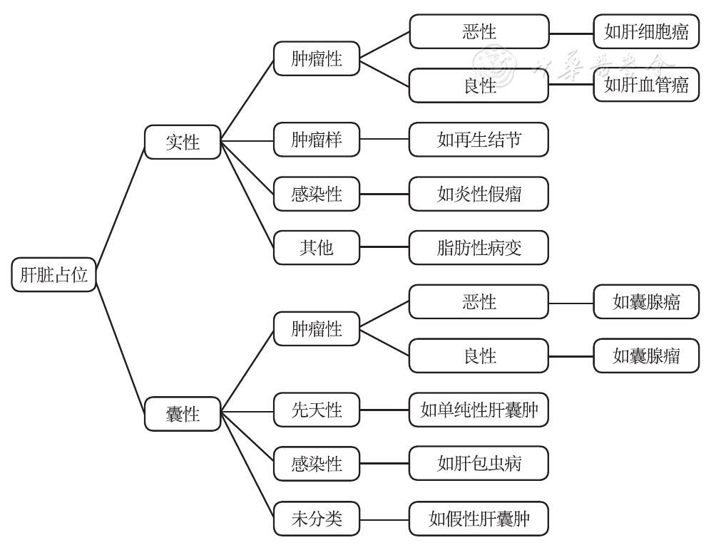 多发于有慢性肝病基础的患者,尤其是慢性乙型肝炎或丙型肝炎易发