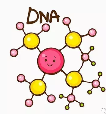 玫瑰痤疮的发病原因_玫瑰痤疮_玫瑰痤疮发病原因 - 好大夫在线