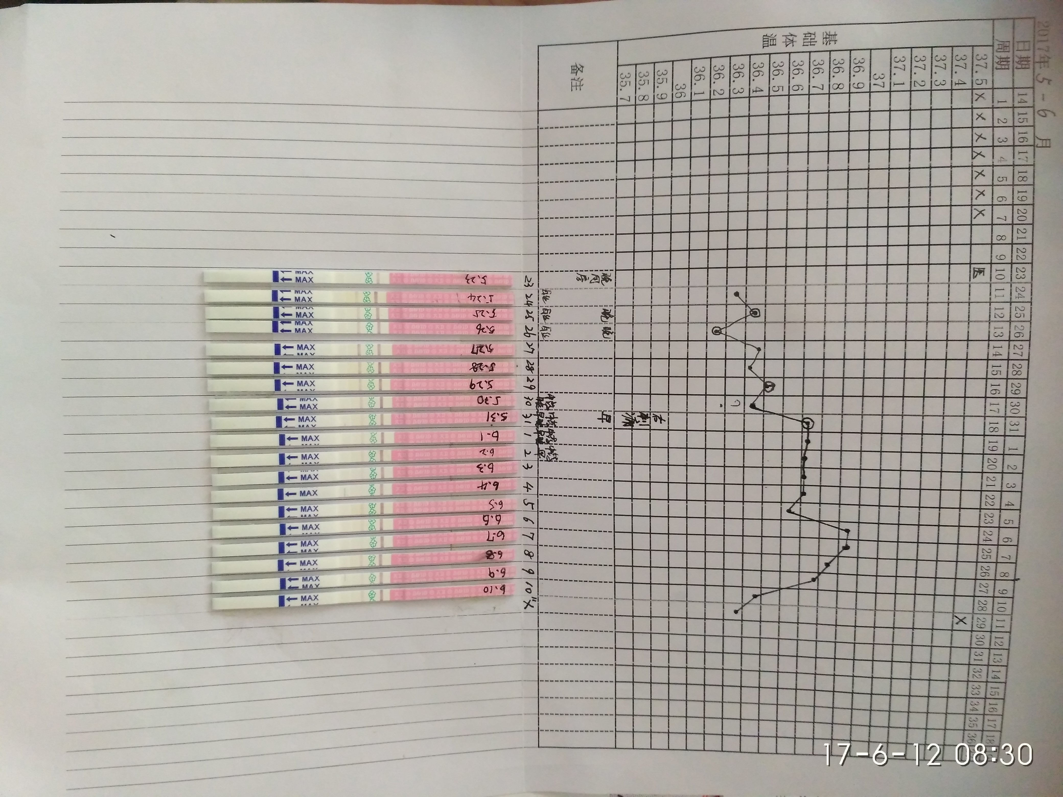 【排卵试纸】如何测排卵试纸,怎样标记(附图)2020版