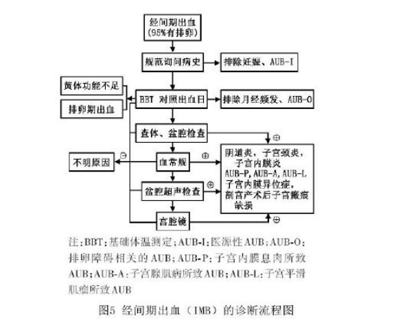 排卵期出血 还是月经不规律 妇科病 疾病介绍