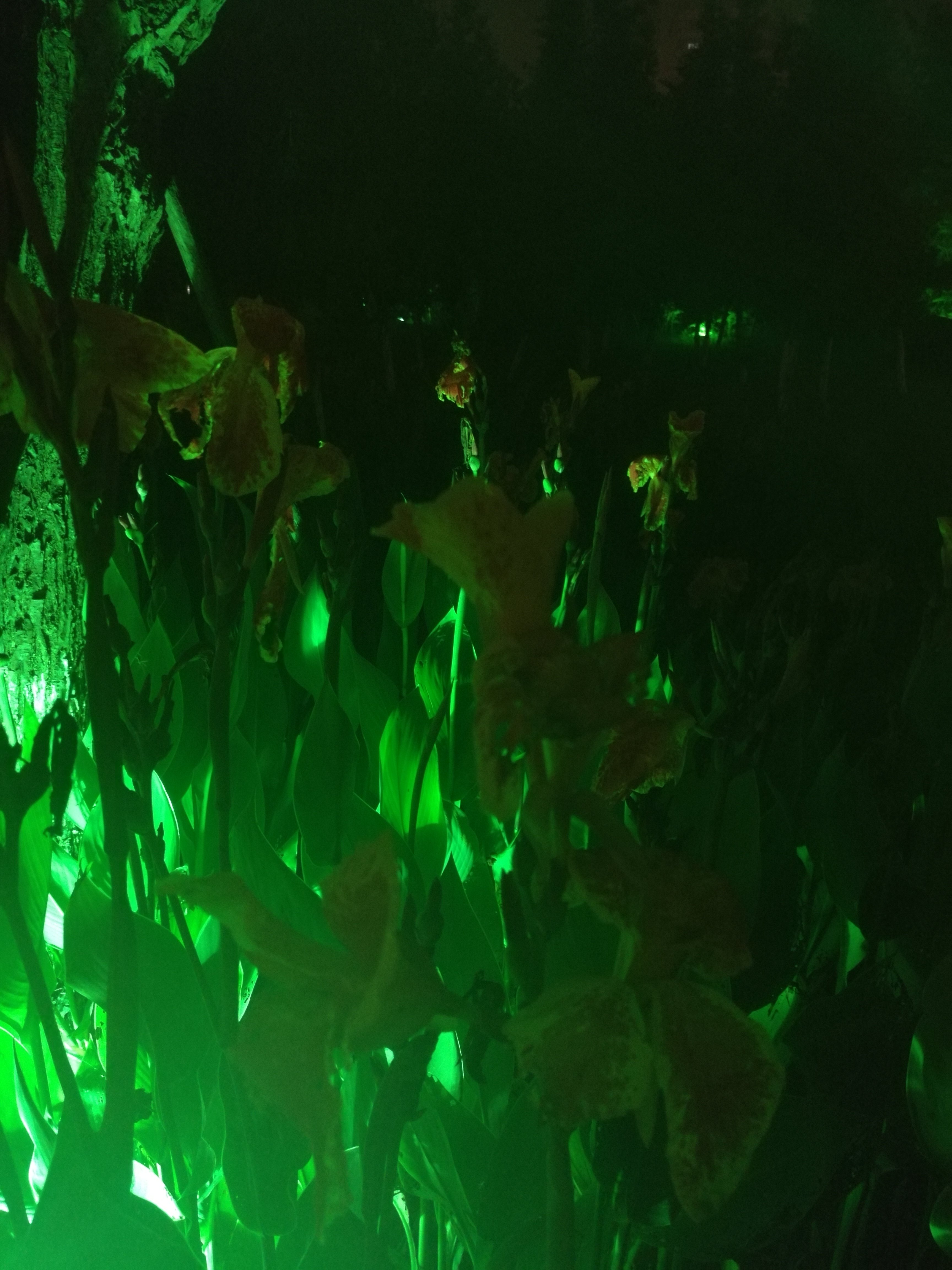 暂无
