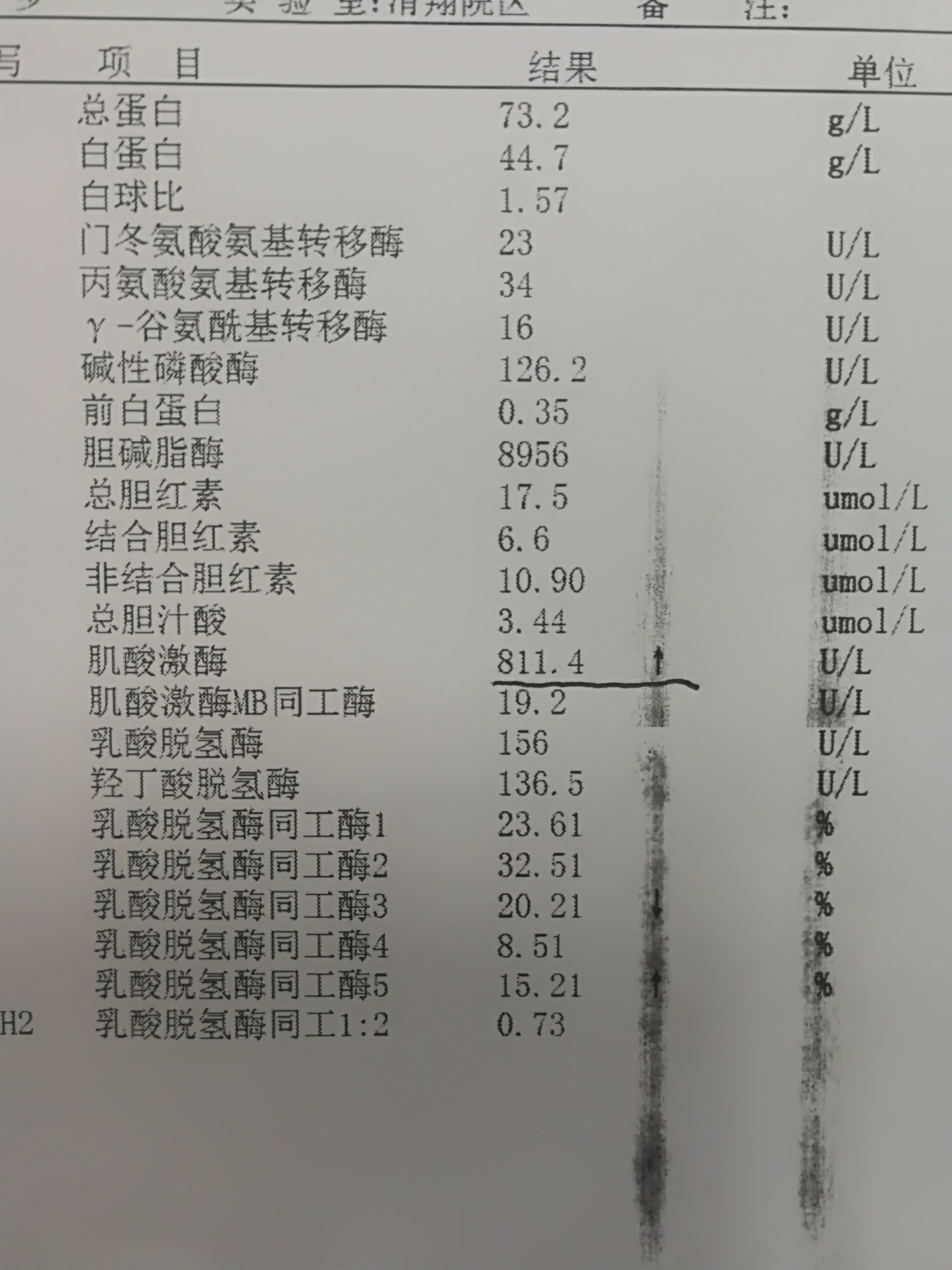 吃他汀类药物 肌肉酸痛 肌酶升高一例 吃他汀类药物 肌肉酸痛 肌酶升高一例