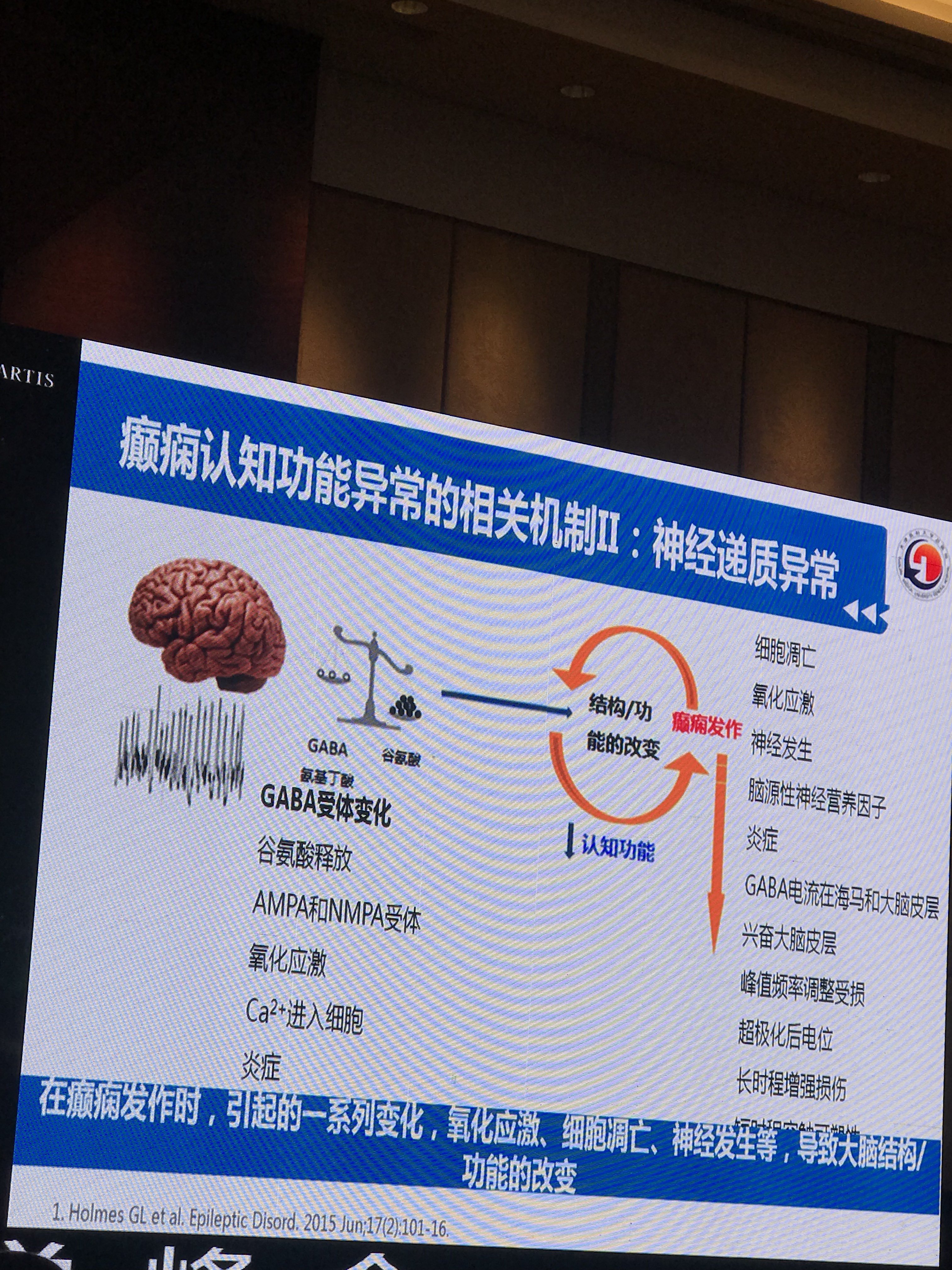 癫痫,脑损伤患儿认知影响的机制机理