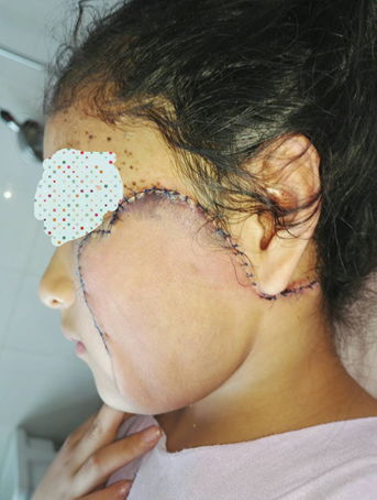 搜索 按医院找医生 按疾病找医生 首页 疾病知识 下载客户端 八大处