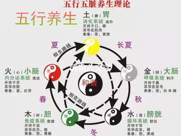 (41)由《唐人街探案2》来看五行养生-春雨医生