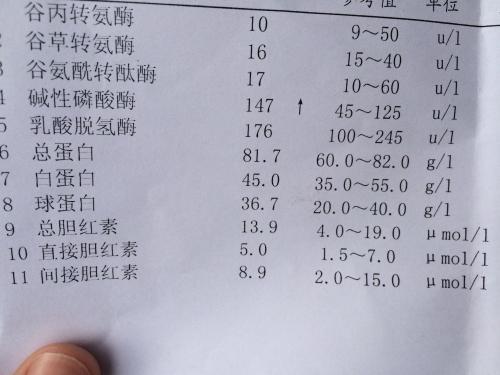 碱性磷酸酶增高