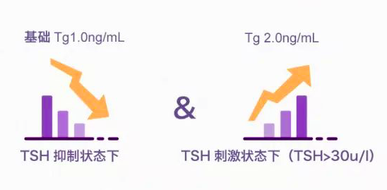 判断甲状腺癌是否复发全看它--甲状腺球蛋白T
