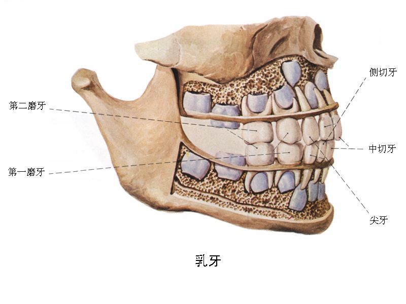 暂无