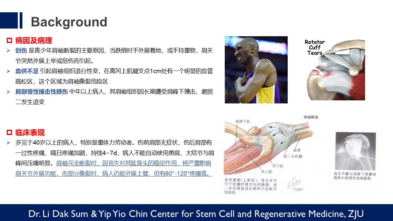 与再生医学技术重点实验室;中国医师协会骨科医师分会再生医学工作组