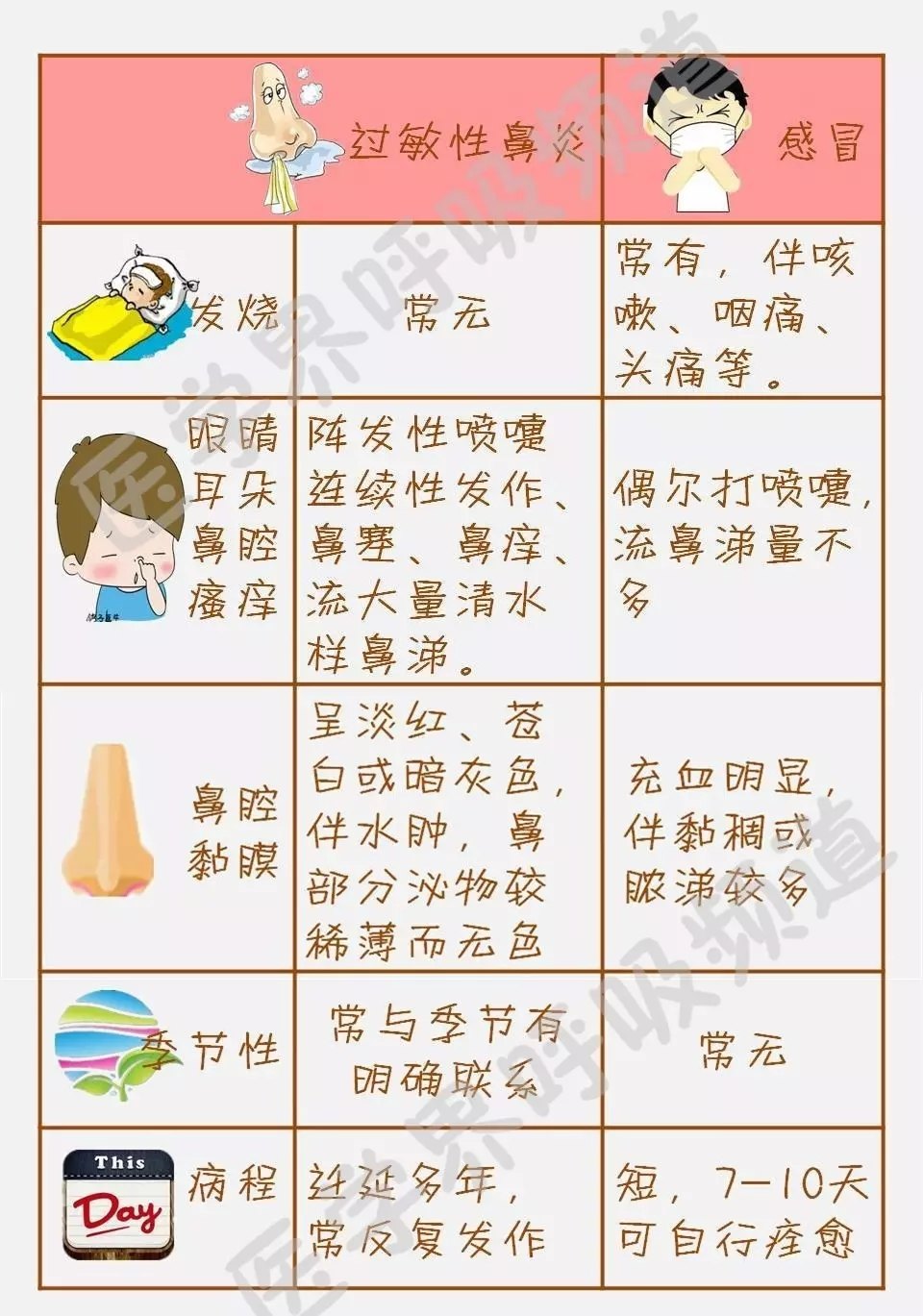 图解过敏性鼻炎 - 好大夫在线