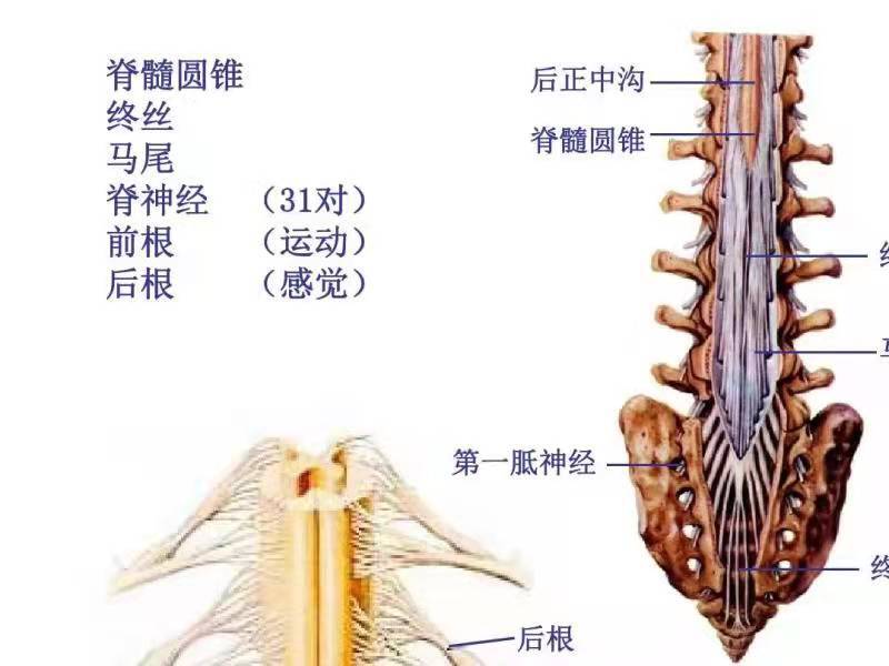 微信图片_202201151421301.jpg