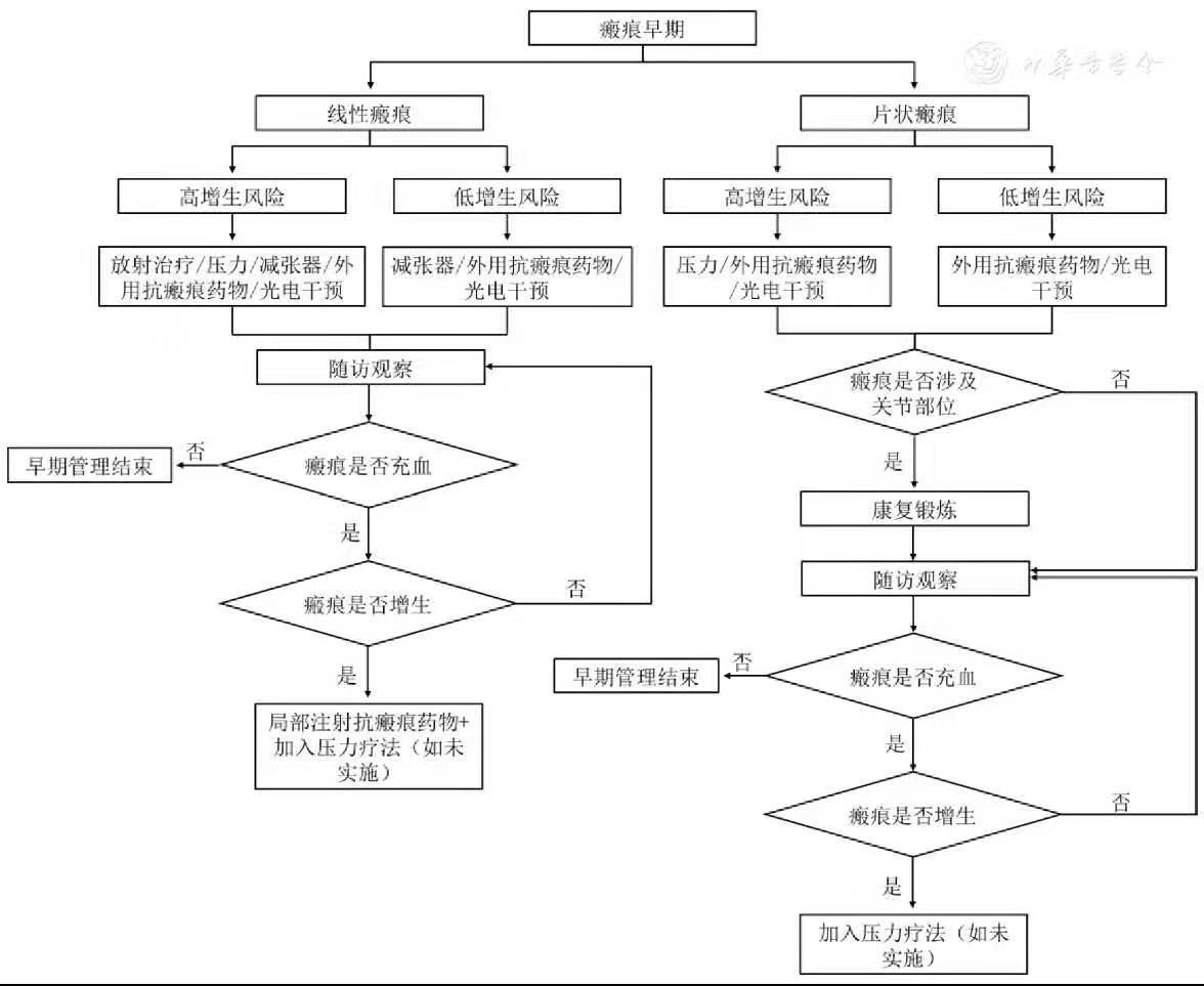 预防性治疗流程图.jpg