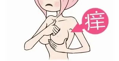 怀孕后期乳房 增大图片