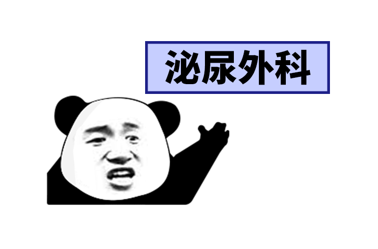 图片08.png