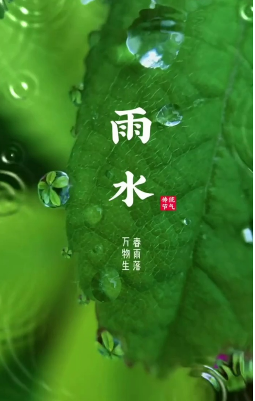 圖文圖片