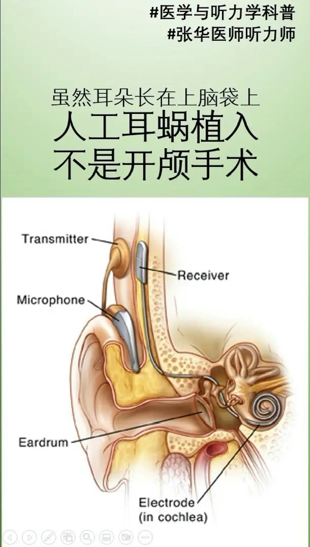 默认图片