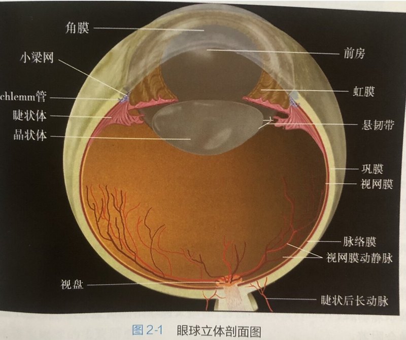 圖文圖片