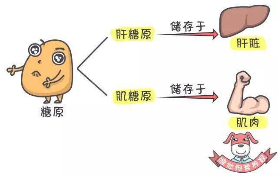 圖文圖片