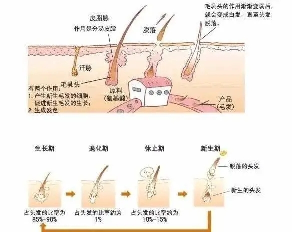 圖文圖片