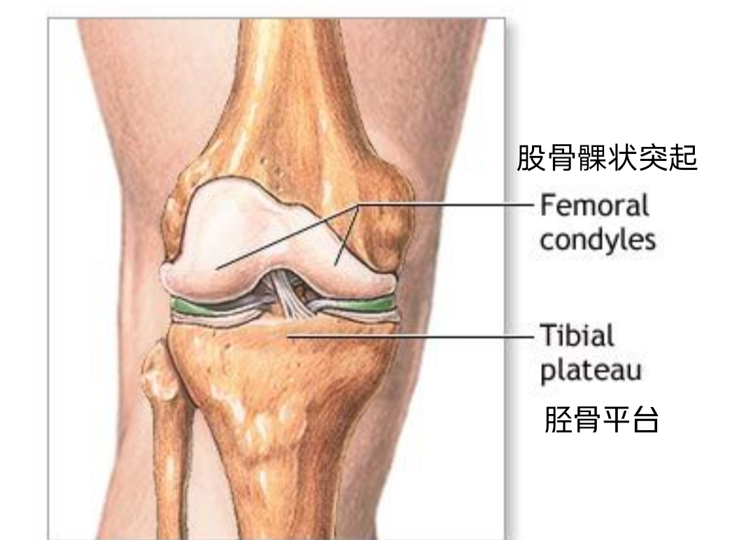 针灸康复治疗胫骨平台骨折术后患者一例 胫骨平台骨折 治疗方式 康复锻炼 好大夫在线 针灸康复治疗胫骨平台骨折术后患者一例 胫骨平台骨折 治疗方式 康复锻炼 好大夫在线