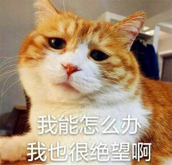 圖文圖片