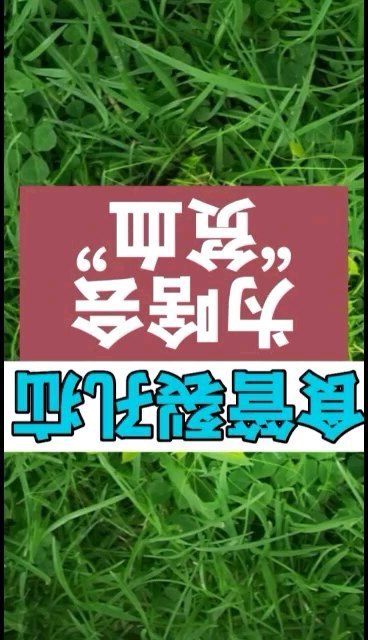 視頻封面