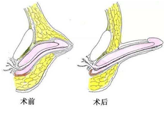 微信图片_20220731181645.png