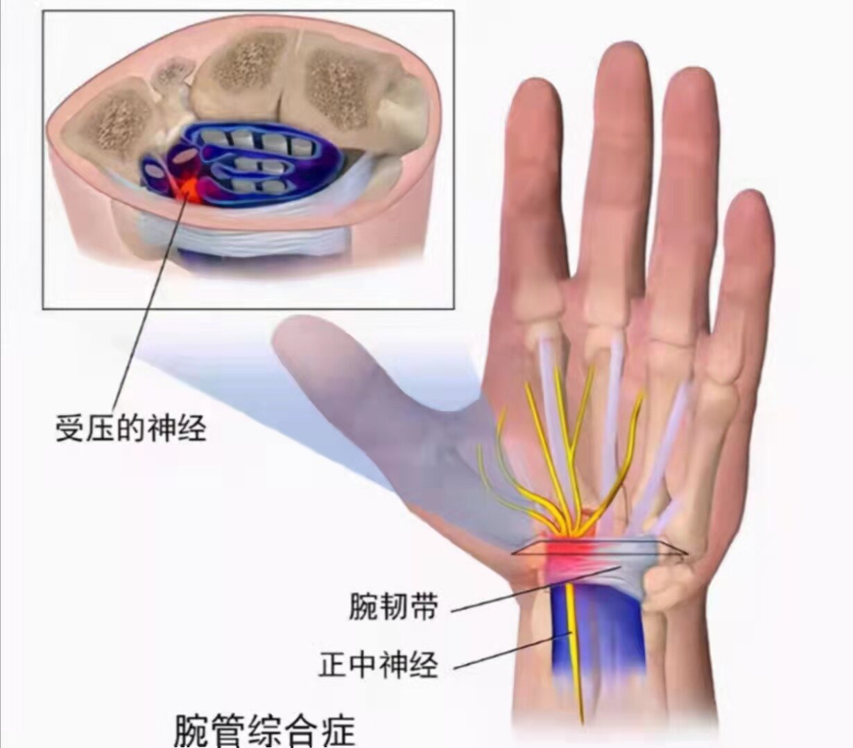 微信图片_20211106230330.jpg