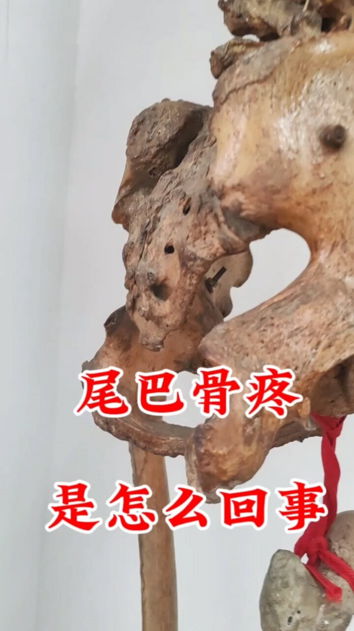 默认图片