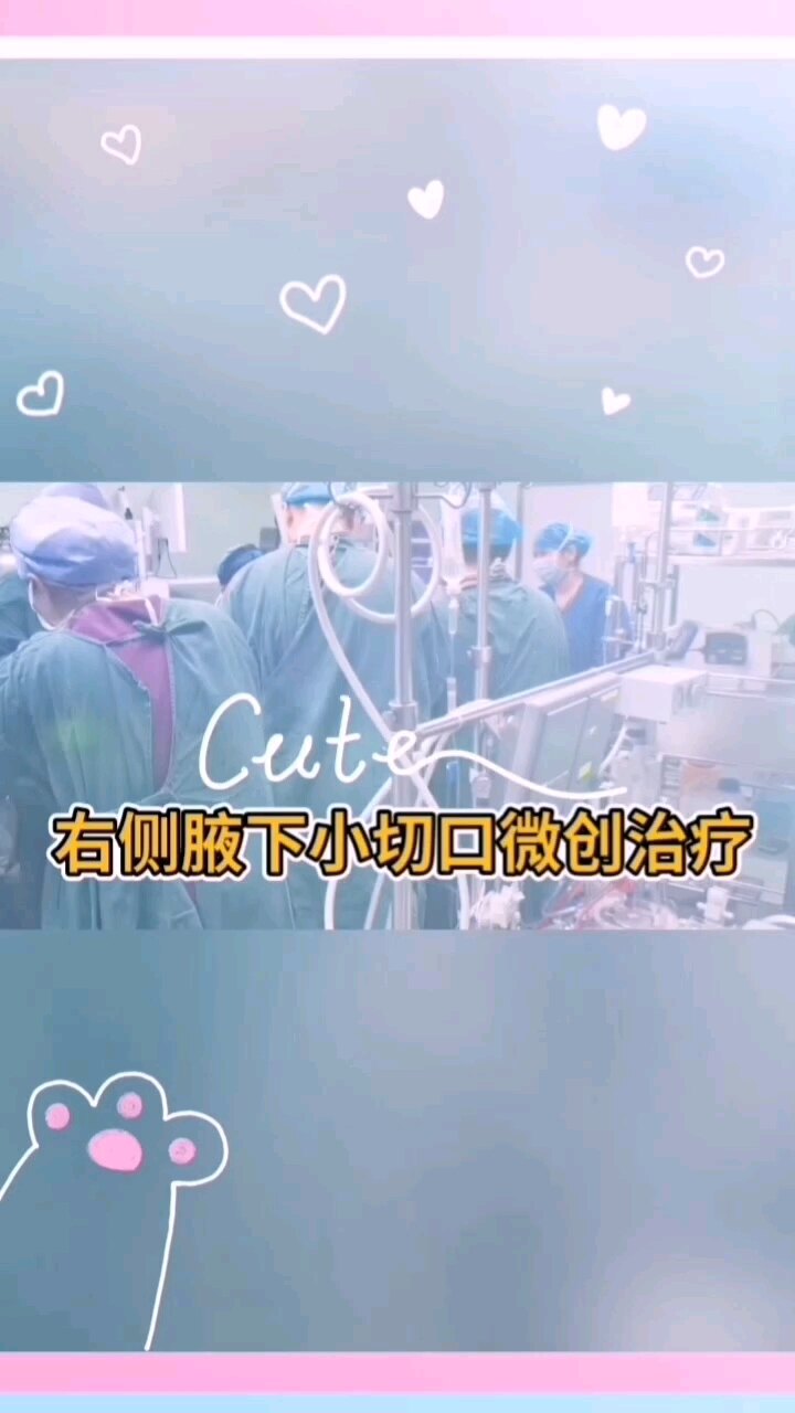 默认图片