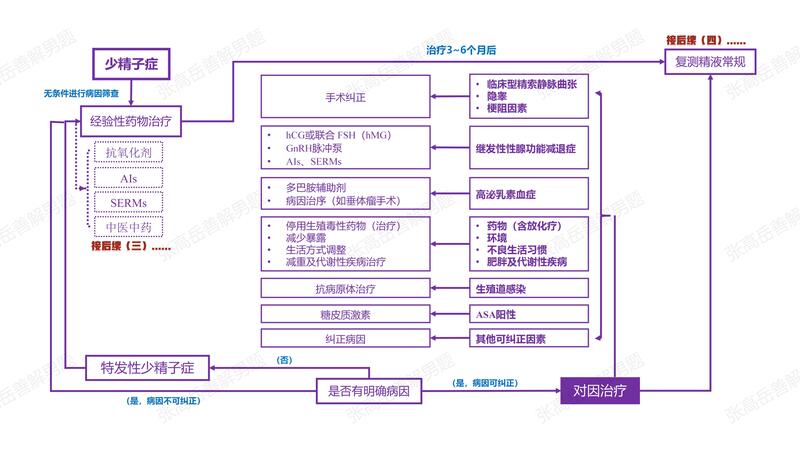 男性不育：少精子症（对因治疗）.jpg