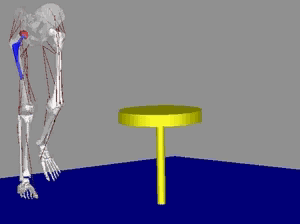1631428158523739.gif